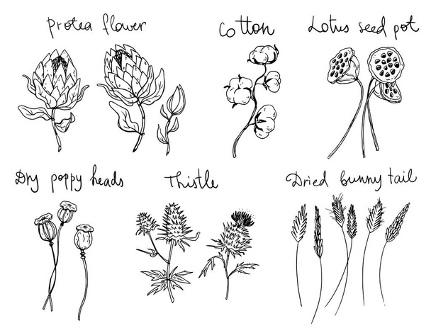 Set of decorative line art flowers, vector illustration - Vector, Image