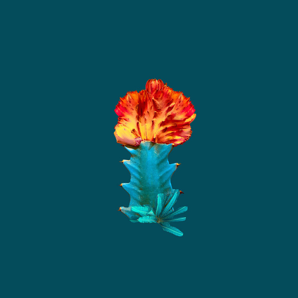 Współczesny kolaż. Jasnopomarańczowy kaktus na turkusowym tle. Odizolować. Koncepcja abstrakcji, rośliny - Zdjęcie, obraz