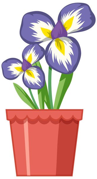 Beautiful flowers in the garden on white background illustration - Vecteur, image