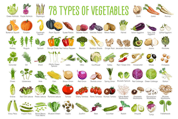 78 Ikony warzyw - Kolekcja zawiera 78 ikon kolorowych korzeni i liści warzyw - Wektor, obraz