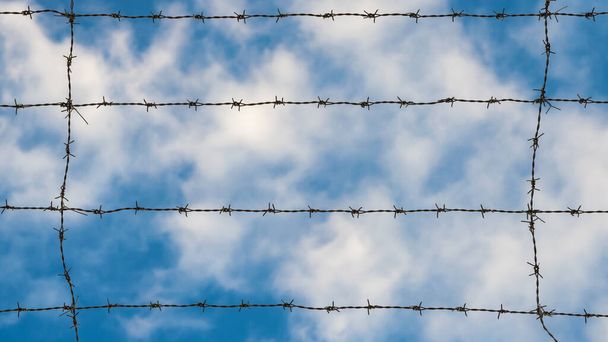 Imprisoned concept. Barbed wire strands with azure sky and white clouds as background - Photo, Image