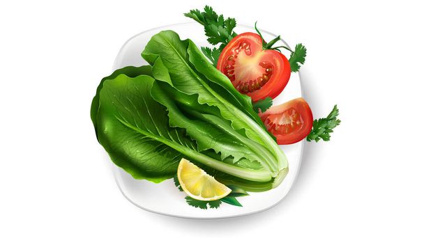 Composition of fresh vegetables on a white plate. - Vector, Imagen