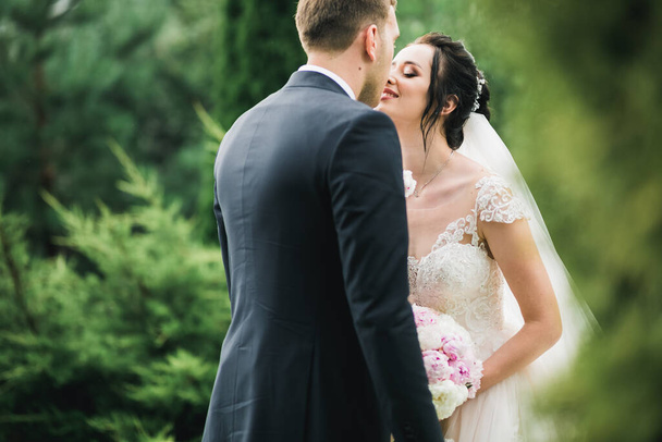 Beautiful bride and groom embracing and kissing on their wedding day outdoors - Foto, immagini