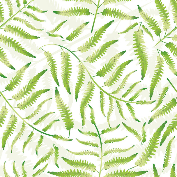 Fern vektor zökkenőmentes minta háttér. Kézzel rajzolt erdei növény levél háttér. Finom zöld fehér átfedő botanikai lombozat kialakítása. Sűrű minden nyomtatott a természet egészségügyi koncepció csomagolás - Vektor, kép
