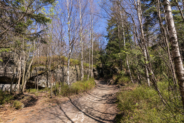 Stolowe Mountains National Park. Path in Rock Labyrinth hiking trail Bledne Skaly. Errant Rocks in Sudetes Mountains near Kudowa-Zdroj, Lower Silesia, Poland. - Photo, Image