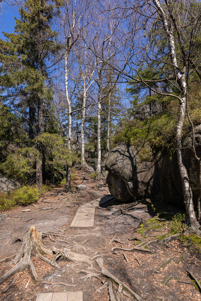 Nationaal park Stolowe Mountains. Pad in Rock Labyrinth wandelpad Bledne Skaly. Errant Rocks in Sudetes Mountains bij Kudowa-Zdroj, Neder-Silezië, Polen. - Foto, afbeelding