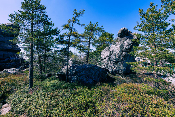 Stolowe Mountainsin kansallispuisto. Polku Rock Labyrintin vaelluspolulla Bledne Skaly. Errant Rocks in Sudetes Mountains near Kudowa-Zdroj, Lower Sleesia, Puola
. - Valokuva, kuva