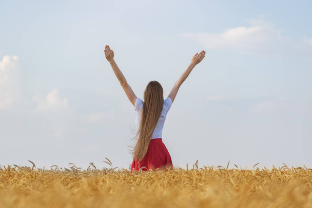 Young woman stands in middle of wheat field and raised her hands up. Beautiful long hair. Rear view. - Photo, image