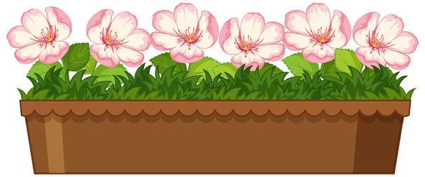 Beautiful flowers in pot on white background illustration - Вектор,изображение