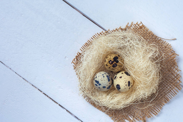 Huevos de codorniz en un nido sobre un fondo de madera blanca. espacio de copia
 - Foto, imagen
