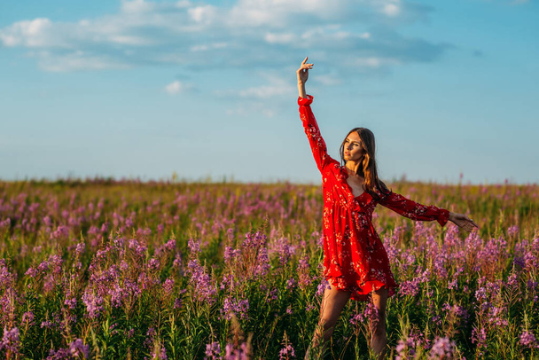 Mooi, lang, jong meisje, lang haar, rode jurk in een veld met rode bloemen. - Foto, afbeelding