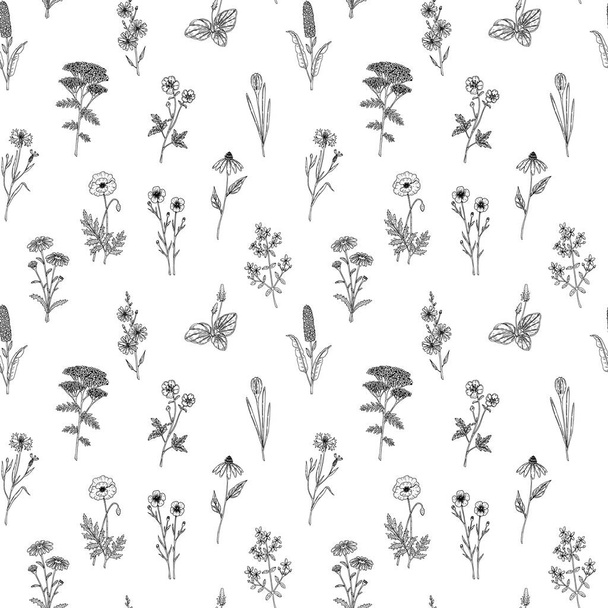 Hand drawn meadow flowers seamless pattern. Vector illustration in sketch style - Vector, Image