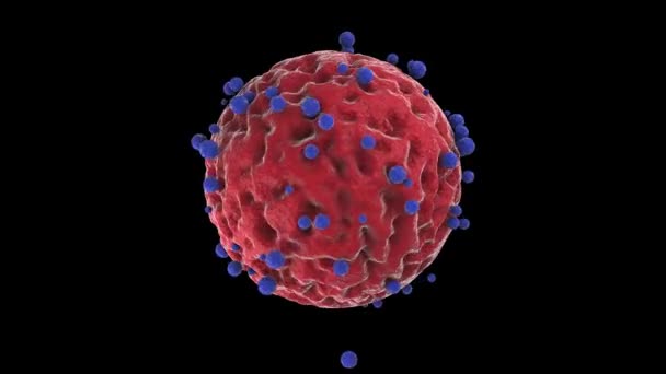 Animacja 3D niebieskiego wirusa, kula z pulsującą skorupą i wiele przeciwciał atakujących koronawirusa. Pomysł na szczepionkę przeciw wideowirusowi-19. Animacja 3D 4K - Materiał filmowy, wideo