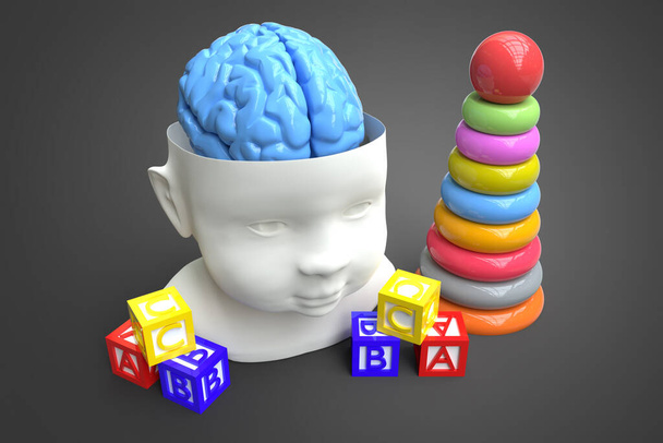 Modèle de la tête et du cerveau de l'enfant. Illustration 3D conceptuelle pouvant être utilisée dans de nombreux domaines de la science et de la médecine
 - Photo, image