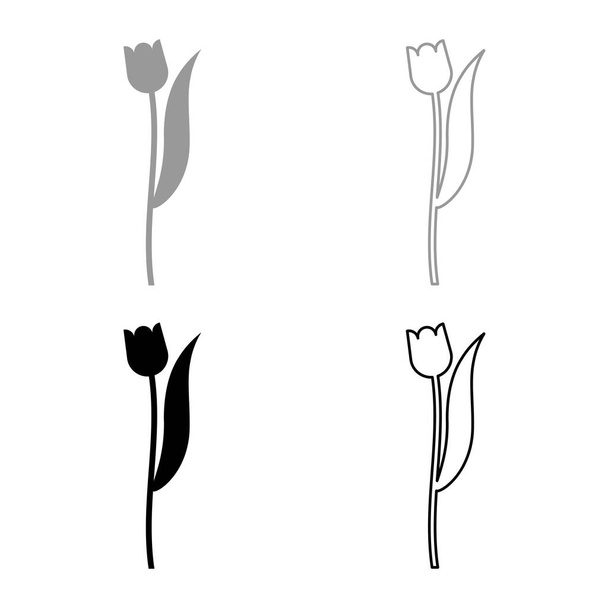 Kwiat tulipan roślin sylwetka ikona zarys zestaw czarny szary kolor wektor ilustracja płaski styl prosty obraz - Wektor, obraz
