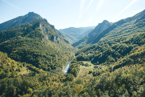 Belle vue sur le paysage naturel du Monténégro. Vue sur les montagnes, la forêt et le fleuve dans le canyon de la rivière Tara dans le nord du Monténégro
. - Photo, image
