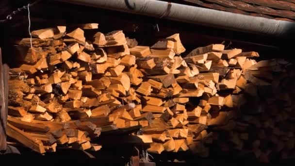 薪が背景に積もっている。薪が積み上げられ、冬の準備。産業木材薪のログを積層。家庭隔離隔離又は冬の準備の概念 - 映像、動画