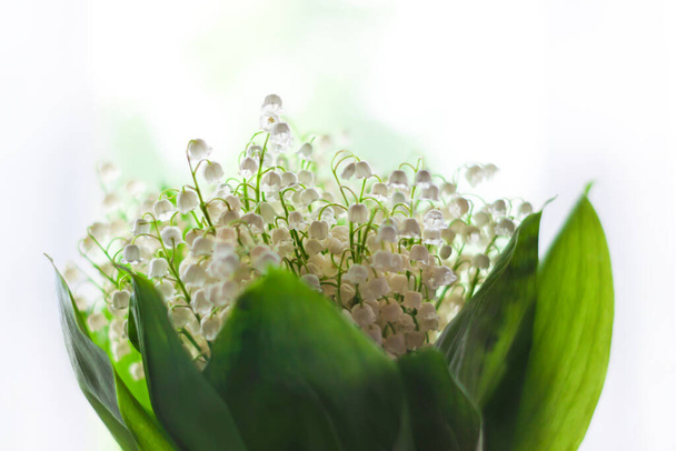 Amazing blooming Lilies of the valley and green leaves. Blurred bokeh lights flowers background with selective focus. Love greeting card copy space banner. Mother's Women's Valentine's day wallpaper. - Photo, Image