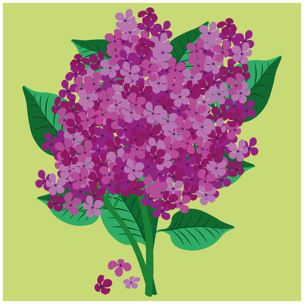 Spring bouquet of lilac on a light background - Vector, Imagen