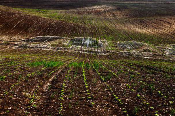 Textuur van bruine landbouwgrond. Mooie zonsopgang op de boerderij. De boerderij in Moldavië, Europa. Vers geploegd voorjaarsveld voor het planten van groentezaden. - Foto, afbeelding
