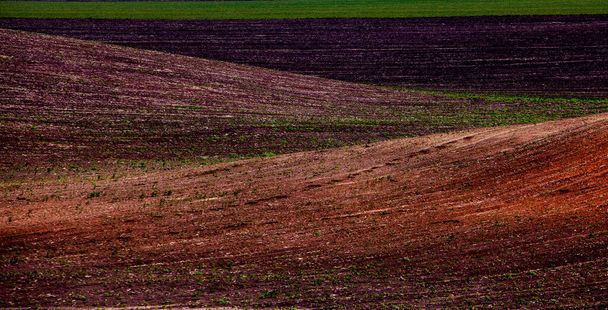 Struktura hnědé zemědělské půdy. Krásný východ slunce na farmě. Farma v Moldavsku, Evropa. Čerstvě orané jarní pole pro výsadbu semen zeleniny. - Fotografie, Obrázek