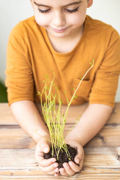 Mãos de criança segurando uma planta jovem
 - Foto, Imagem