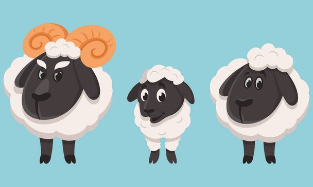Famiglia di pecore in stile cartone animato
. - Vettoriali, immagini
