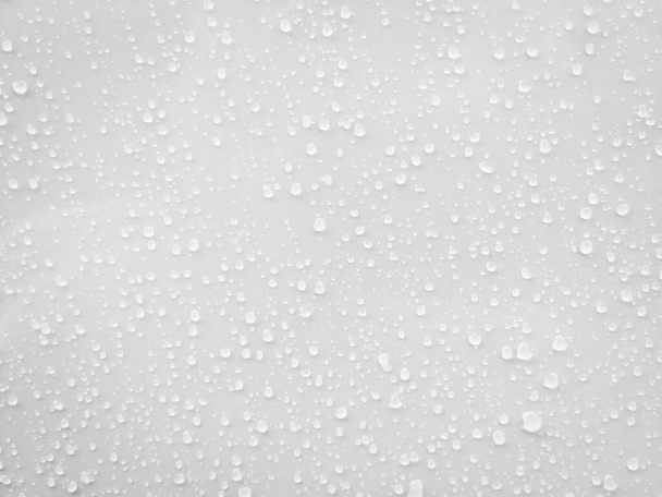Water drops on white surface background. - Photo, Image
