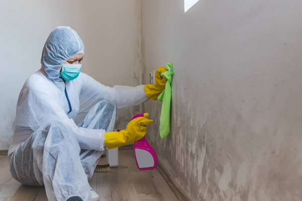 Γυναίκα εργαζόμενος της υπηρεσίας καθαρισμού αφαιρεί τη φόρμα από τον τοίχο χρησιμοποιώντας το μπουκάλι ψεκασμού με τα χημικά αποκατάστασης καλουπιών, προϊόντα αφαίρεσης καλουπιών. - Φωτογραφία, εικόνα