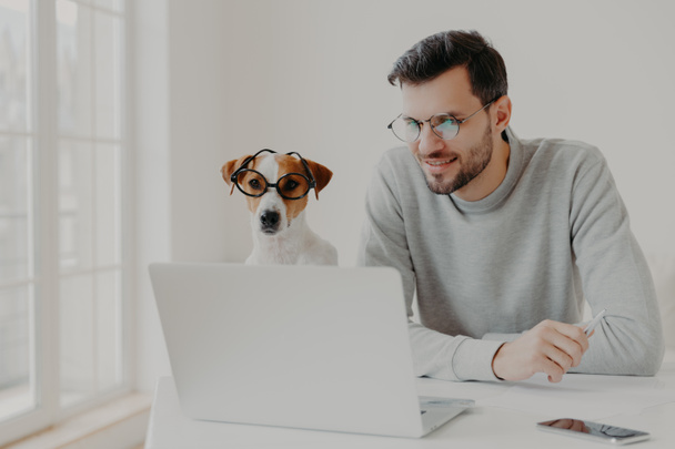 Busy man works freelance, watches training video online on laptop computer wears transparent glasses works together with jack russell terrier pose in home office read news online. Businessman with dog - Photo, Image