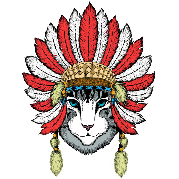Face of domestic cat. Portrait of animal. Cute kitty, kitten. Indian headdress with feathers. Boho style. - Vector, Image
