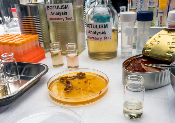 Científico de laboratorio experimentado analizando una muestra de una lata de comida enlatada, infección por botulismo en personas enfermas, imagen conceptual - Foto, Imagen