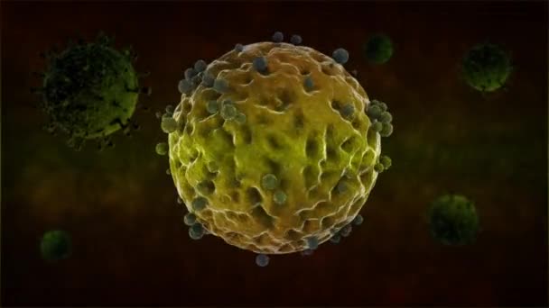 3D animatie van het ronde virus en antilichaam aanval, het werk van het immuunsysteem. Idee van vaccinatie en controle van het ncov-19 coronavirus. 4K animatie van technologie voor de bestrijding van de pandemie. - Video
