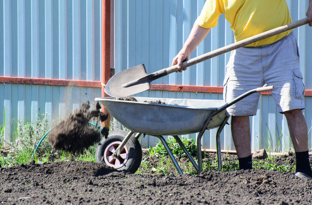 Farmář s lopatou vyloží kolečko plné hlíny. Koncept - práce na jarním poli - Fotografie, Obrázek