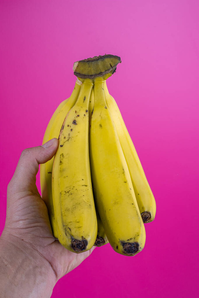 kéz gazdaság egy csomó banán a fukszia háttér - Fotó, kép