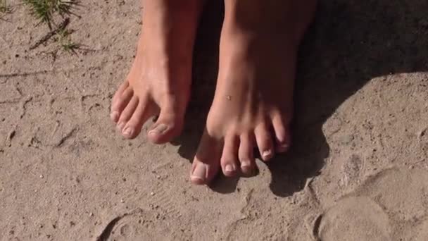 Γυναικεία πόδια στην άμμο - Πλάνα, βίντεο