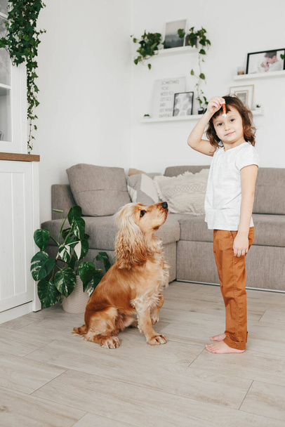 Κοριτσάκι που κρατάει σκυλοτροφή και εκπαιδεύει το σκύλο της να κάθεται στο σπίτι - Φωτογραφία, εικόνα