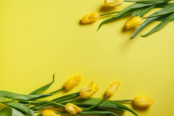 Tulips on a yellow background. Valentines day concept. International Women's Day. Mother's day. Flat lay, top view, copy space. - Photo, Image