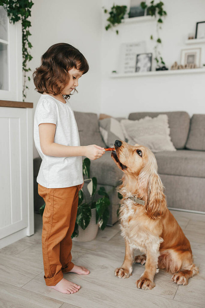 Little girl holding dog snack food and training her dog to sit at home - Photo, Image
