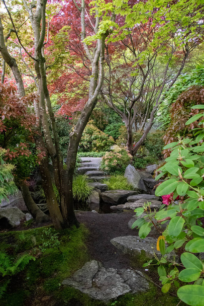 Japon bahçesindeki patikanın bir resmi. Vancouver BC Kanada - Fotoğraf, Görsel