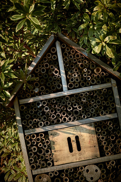 Maison d'insectes parmi les buissons verts
 - Photo, image