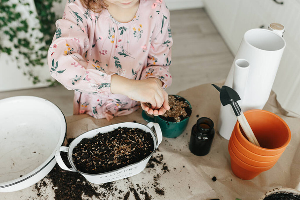 Little toddler girl hands putting seeds into soil planting dill herbs in the kitchen at home. Gardening at home - Foto, afbeelding