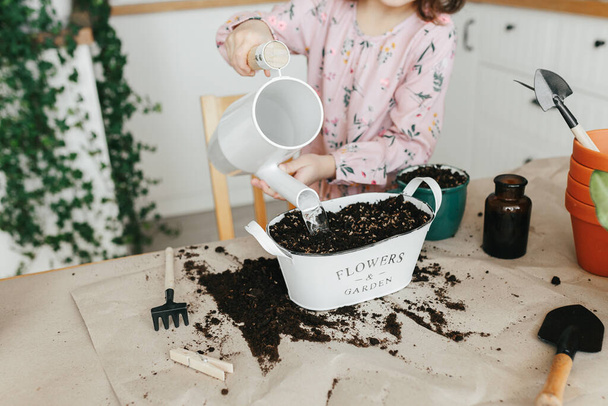 Little toddler girl planting and watering dill herbs in the kitchen at home. Gardening at home - Foto, afbeelding