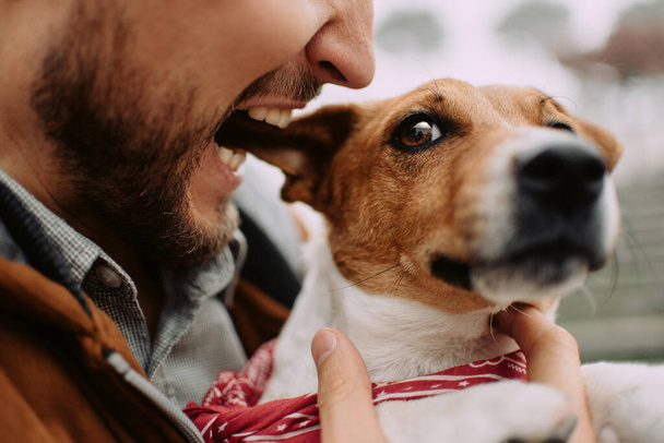 vicces tulajdonos harapás Jack Russell terrier kutyák fül - Fotó, kép