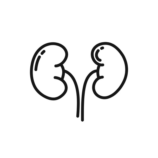 menschliche Nieren Doodle-Symbol, Vektorzeilenillustration - Vektor, Bild