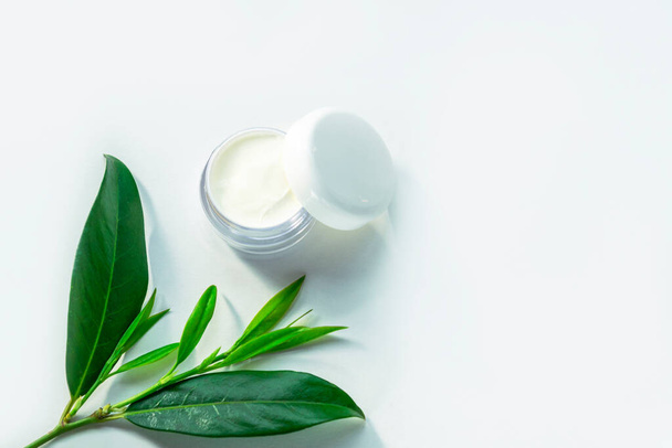 Face cream in a jar and green leaves, isolated on white background, top view, copy space - 写真・画像