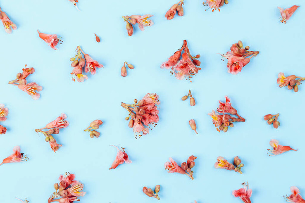 Flores de castañas patrón sobre un fondo azul
 - Foto, Imagen