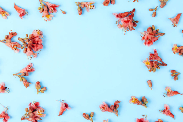 Fleurs de châtaignes cadre motif sur un fond bleu
 - Photo, image