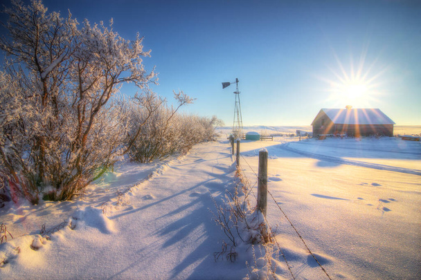 雪嵐の後のカナダの草原の遺産農場の家の早朝の日の出. - 写真・画像