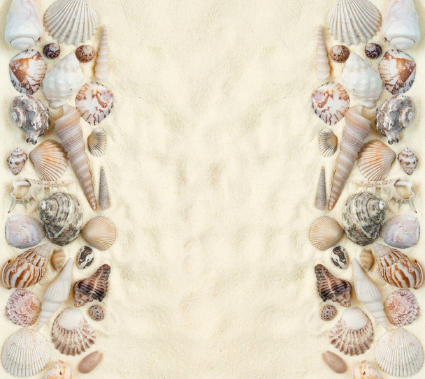 Flat lay of seashells on white sand background, concept of beach vacation, top view with copy space - Foto, immagini